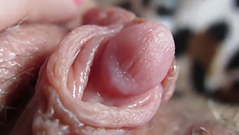 Up Close And Personal With My Throbbing Clit Head
