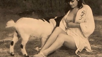 Classic Taboo: A Vintage Erotic Adventure